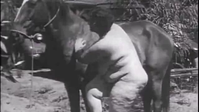 アクロバティックボンデージ雌犬zap犯さ！ sex 動画 女性 用