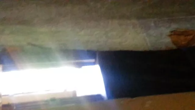 ぽっちゃりと黒 女性 用 クンニ 動画